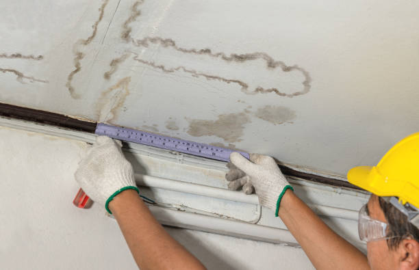 24/7 Emergency Structural Drying experts in Rainier, WA