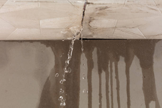 Professional Structural Drying technician working in Rainier, WA